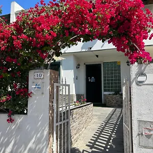 Casa de hóspedes Bing Garden 