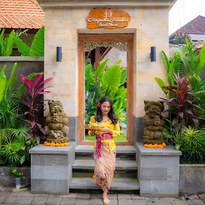 Cempaka Kembar Indonesien